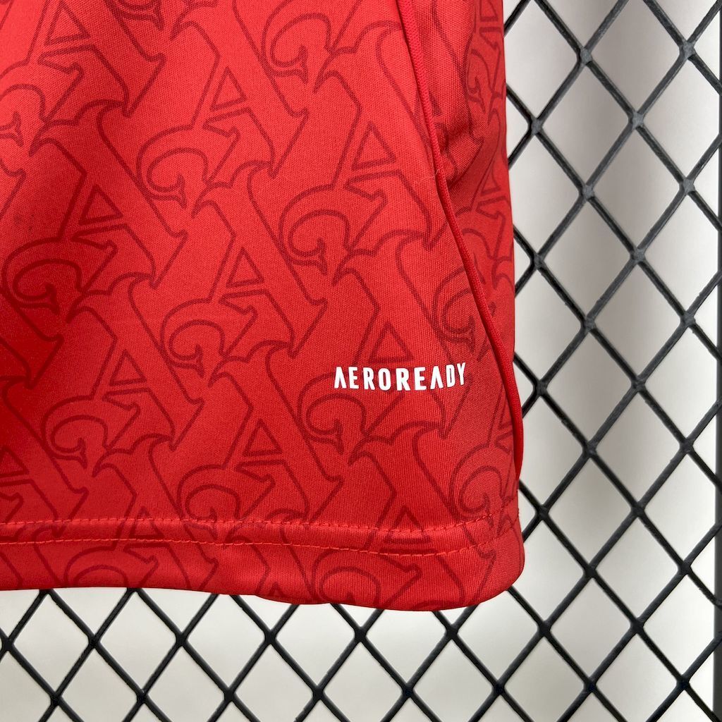 Arsenal Principal 2025/26