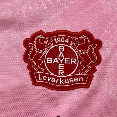 Bayer 04 Leverkusen Secundária 2025/26
